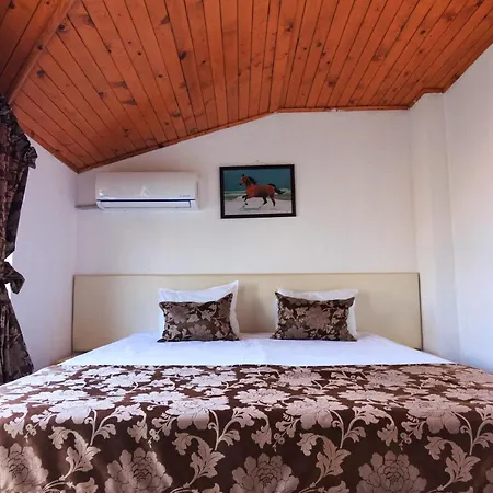Guest house Sunny Dream *